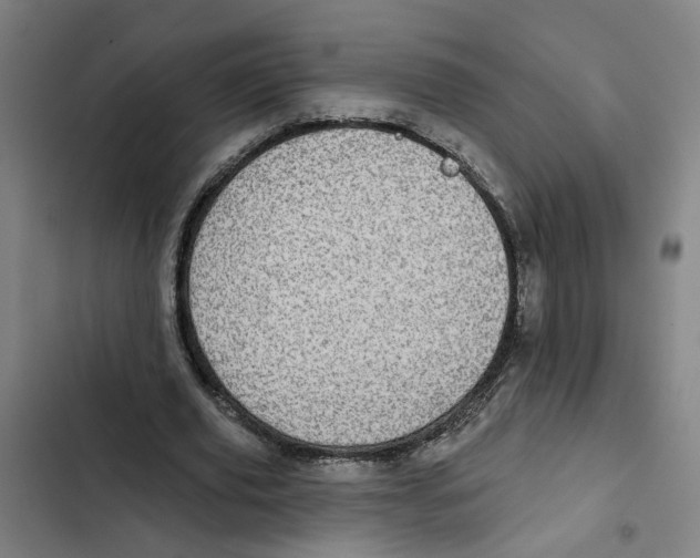 X0000102360629200808291226