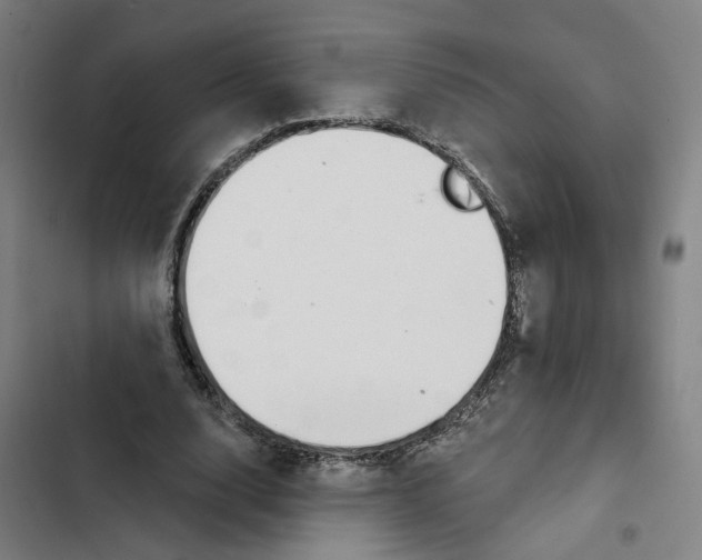 X0000102360632200808291226