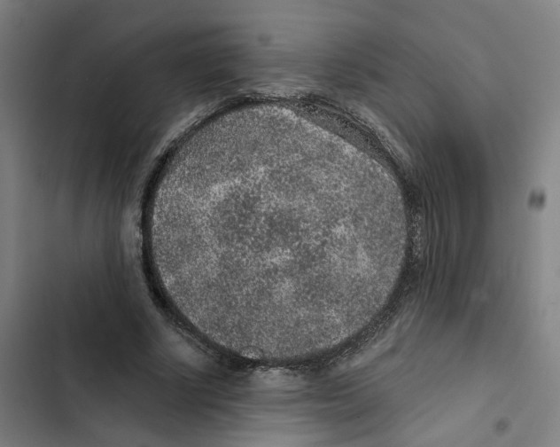 X0000102360634200808291226