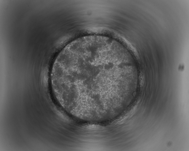 X0000102360637200808291226
