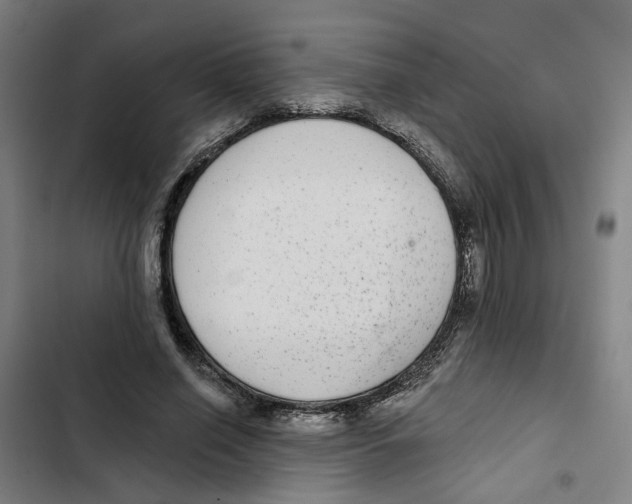 X0000102360638200808291226