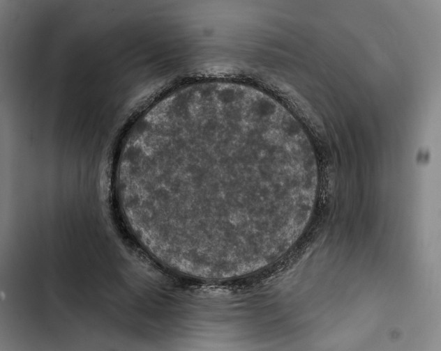 X0000102360640200808291226