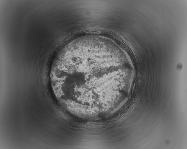 X0000102360641200808291226