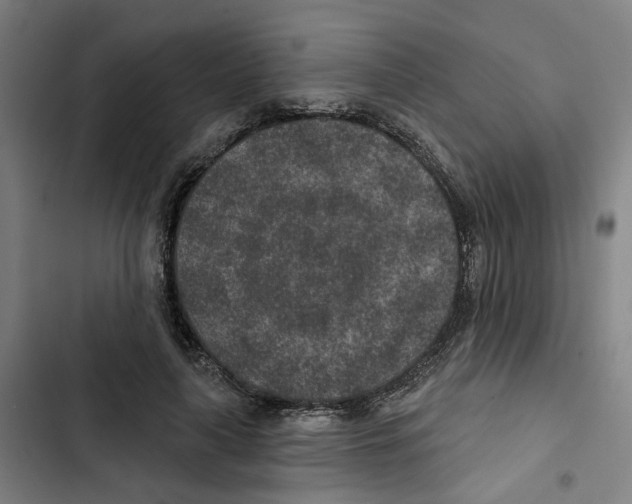 X0000102360643200808291226