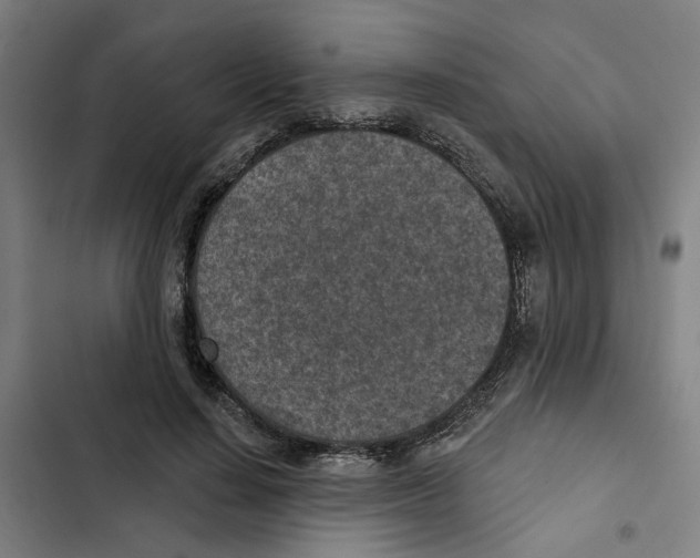 X0000102360644200808291226