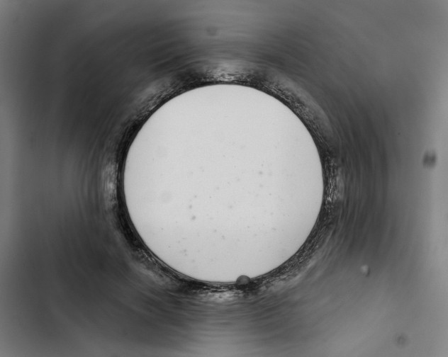 X0000102360646200808291226