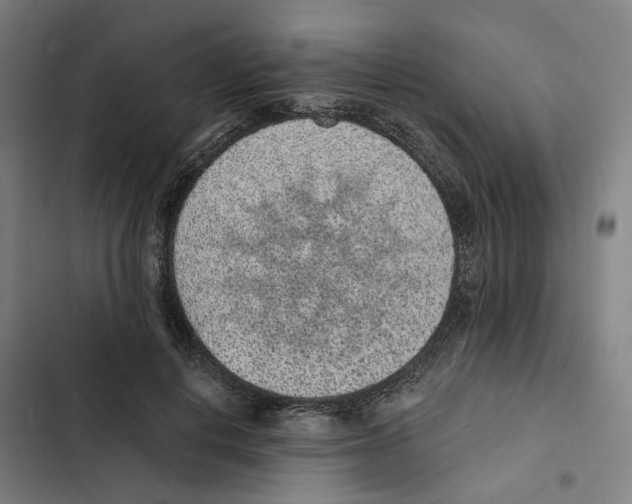 X0000102360648200808291226