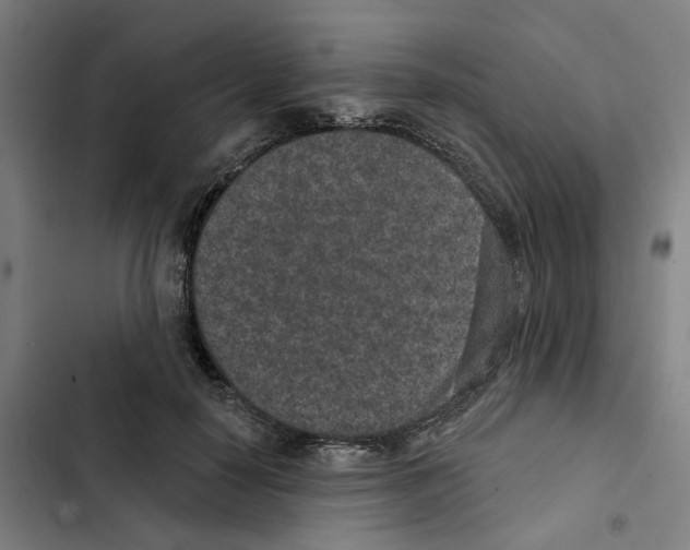 X0000102360650200808291226