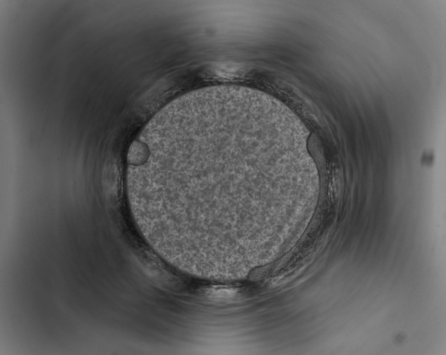 X0000102360651200808291226