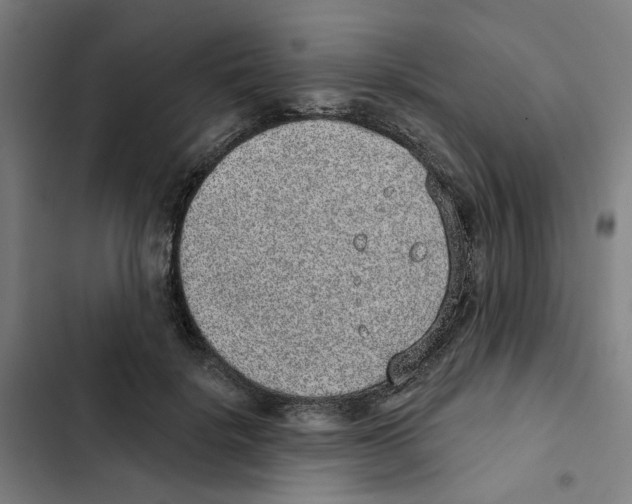 X0000102360652200808291226