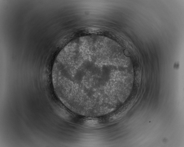 X0000102360653200808291226