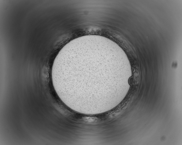 X0000102360654200808291226