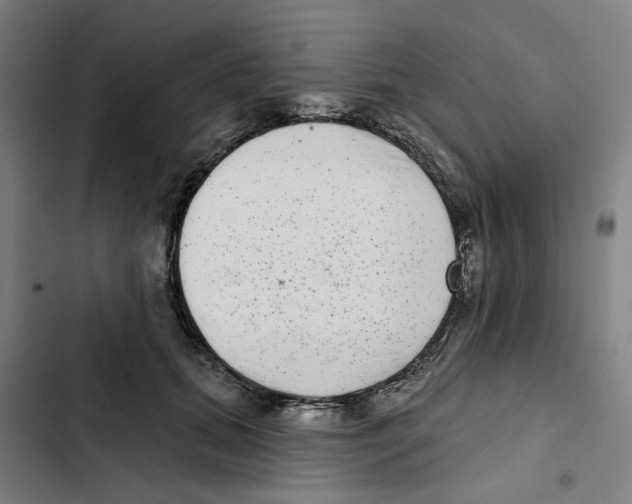 X0000102360655200808291226