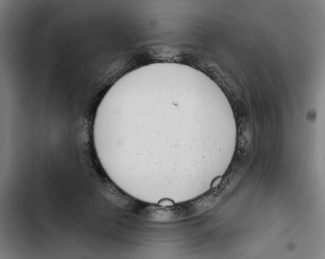 X0000102360658200808291226