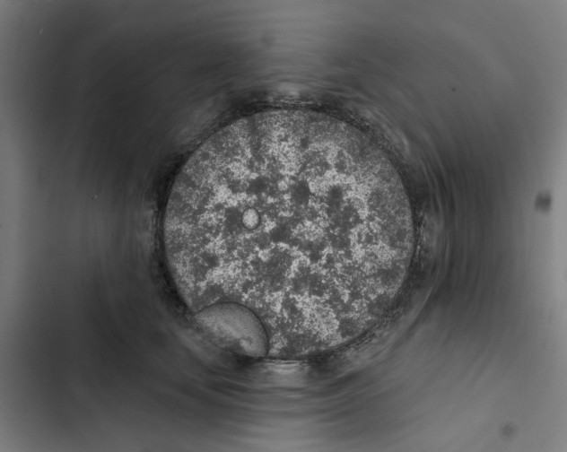 X0000102360659200808291226