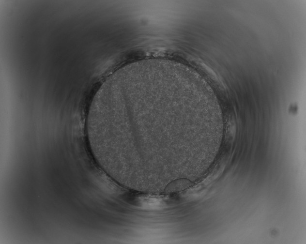 X0000102360661200808291226