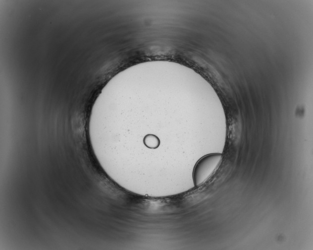 X0000102360662200808291226