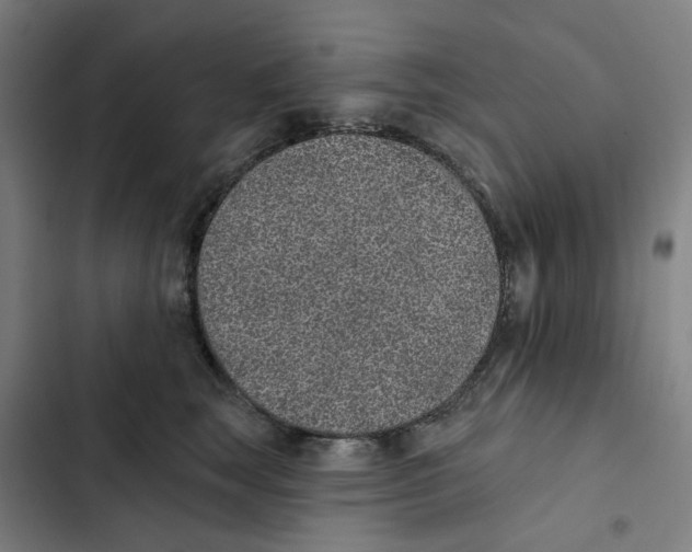 X0000102360663200808291226