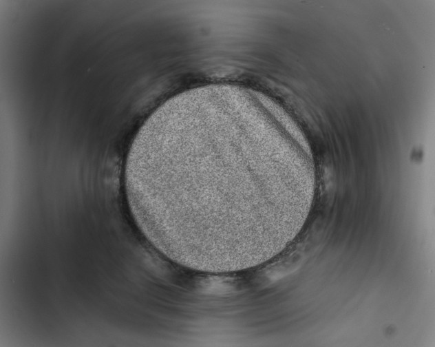 X0000102360664200808291226