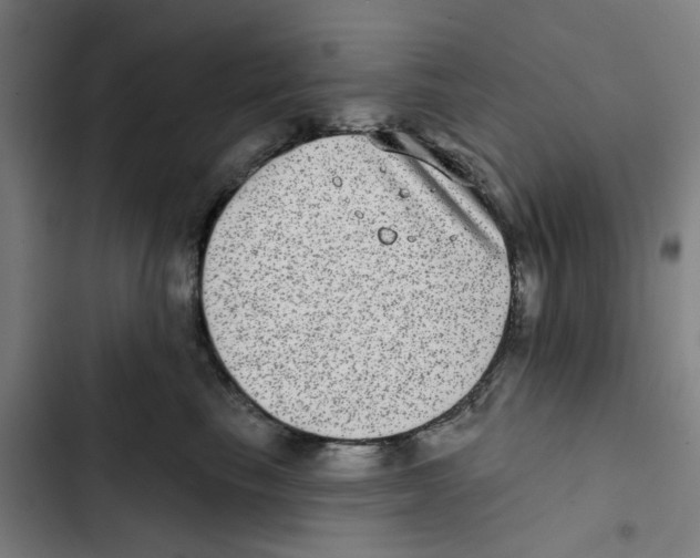 X0000102360665200808291226