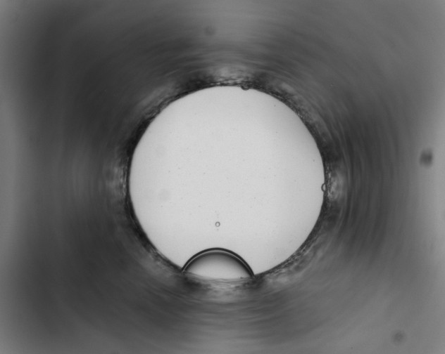 X0000102360666200808291226