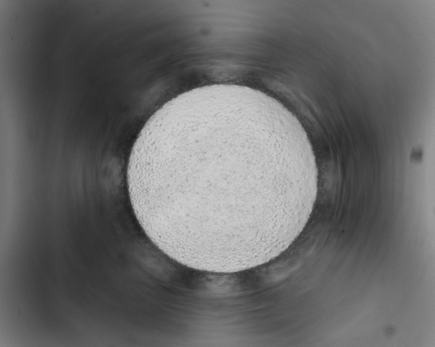 X0000102360667200808291226