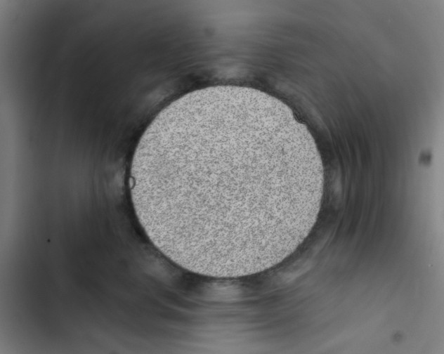 X0000102360668200808291226
