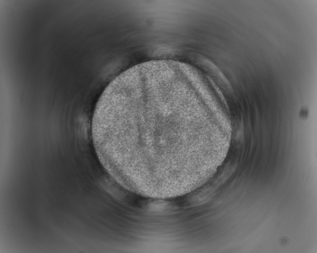 X0000102360669200808291227