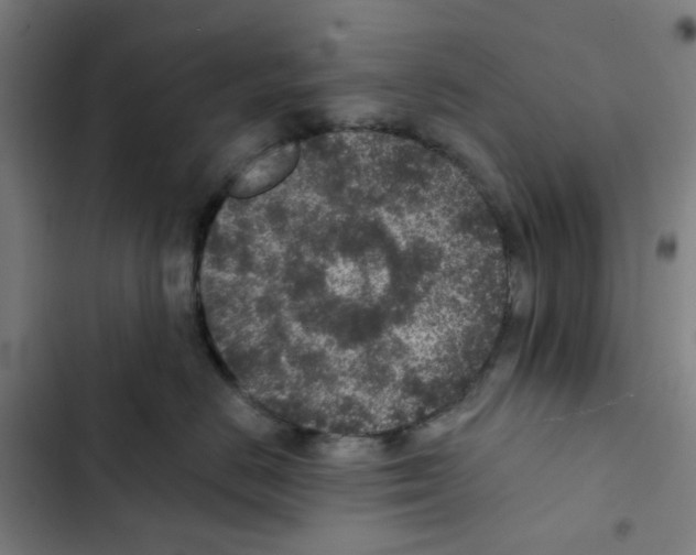 X0000102360670200808291227