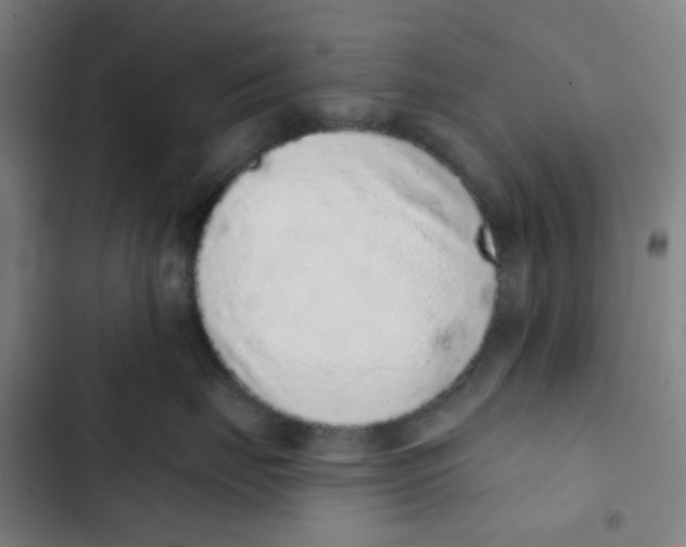 X0000102360671200808291227