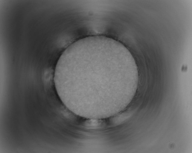 X0000102360672200808291227