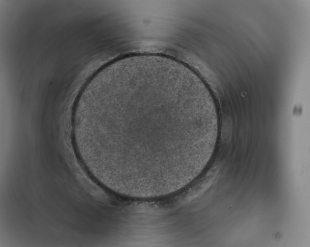 X0000102360673200808291226