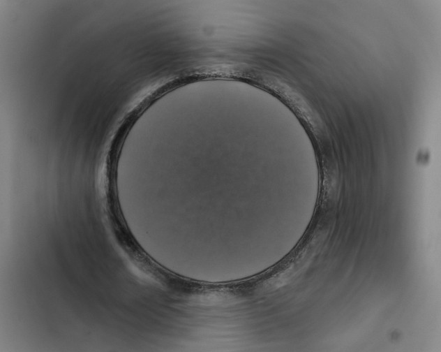 X0000102360674200808291226