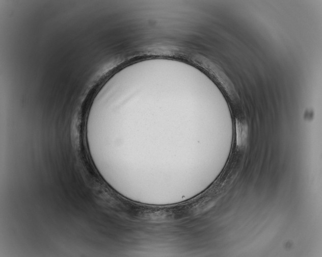 X0000102360675200808291226