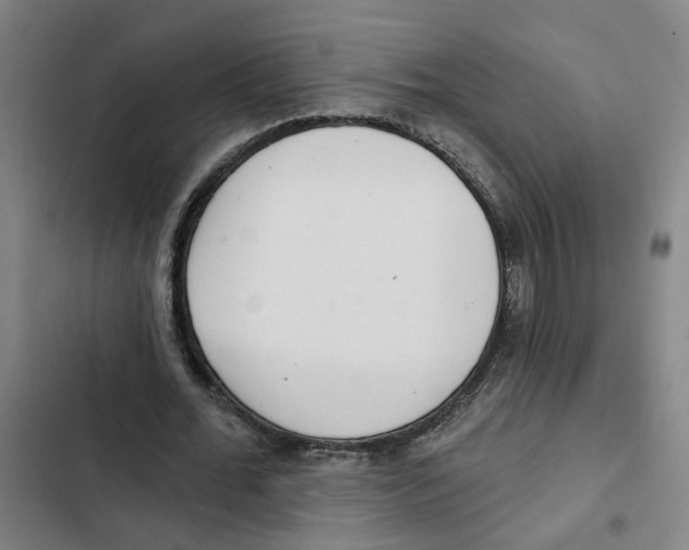 X0000102360676200808291226