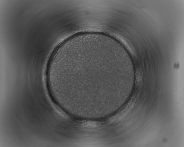 X0000102360677200808291226