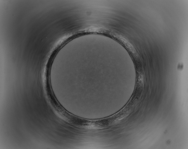 X0000102360678200808291226
