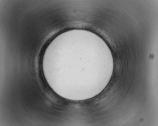 X0000102360679200808291226