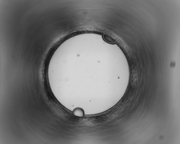 X0000102360680200808291226