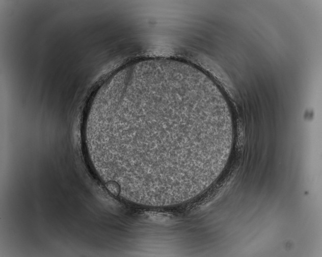 X0000102360681200808291226