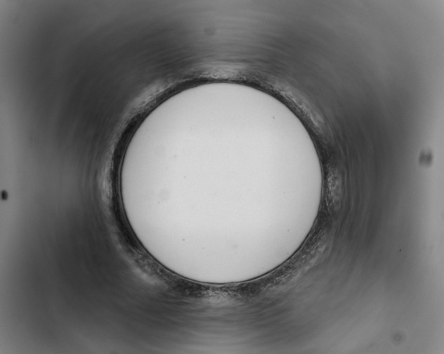 X0000102360682200808291226