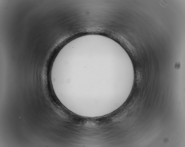X0000102360684200808291226