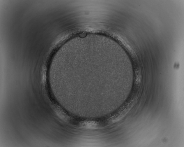X0000102360685200808291226