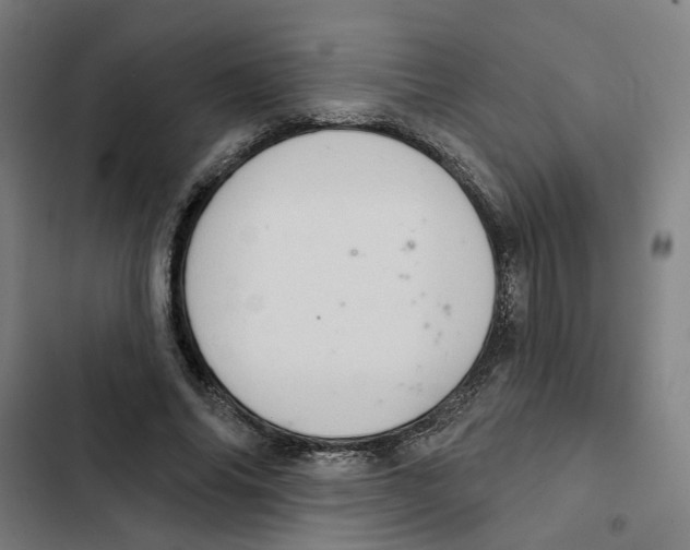 X0000102360686200808291226