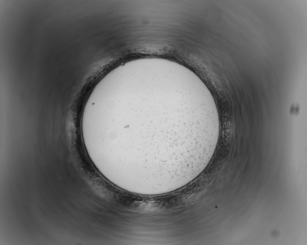 X0000102360688200808291226