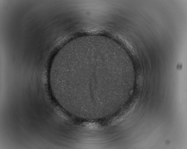 X0000102360689200808291226