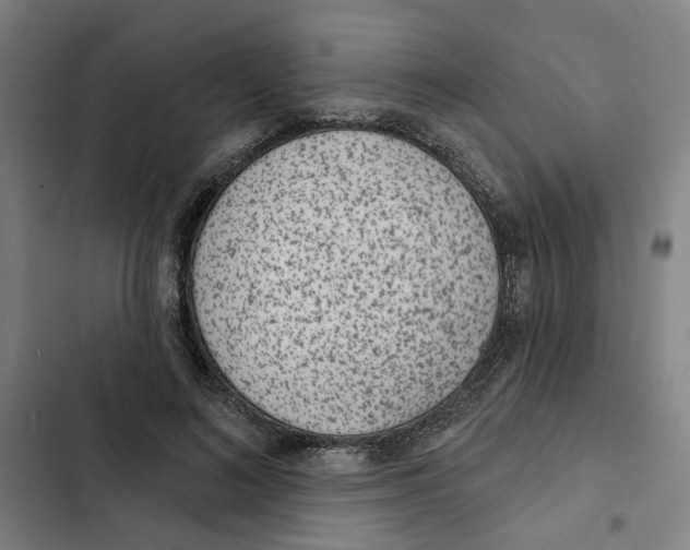 X0000102360692200808291226