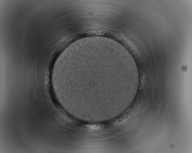 X0000102360693200808291226