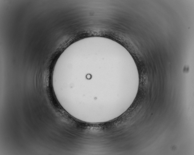 X0000102360694200808291226