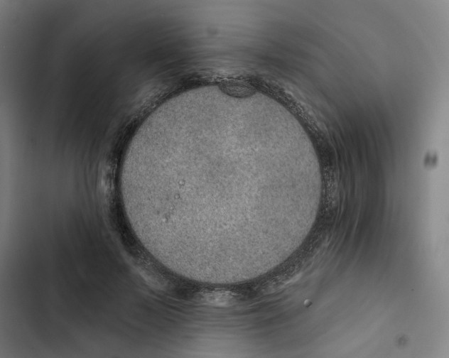 X0000102360695200808291226